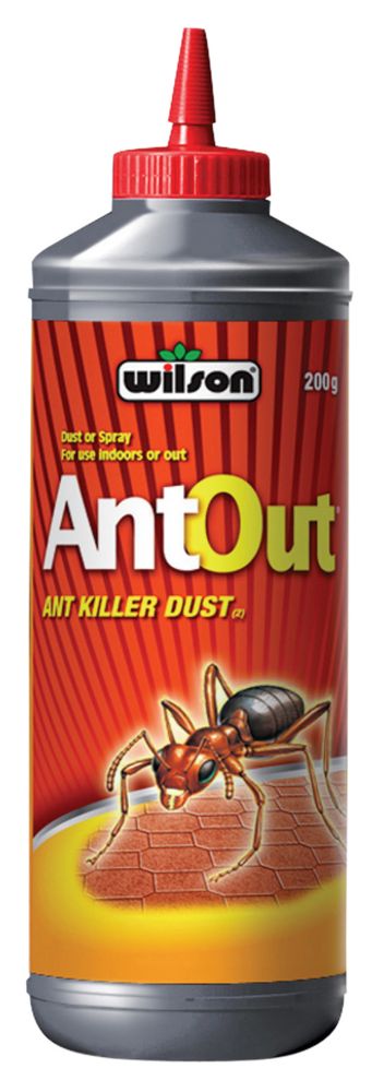 Destructeur ant out (fourmis)