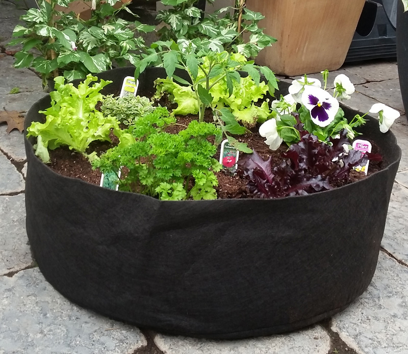 Smart pot (jardin instantane)