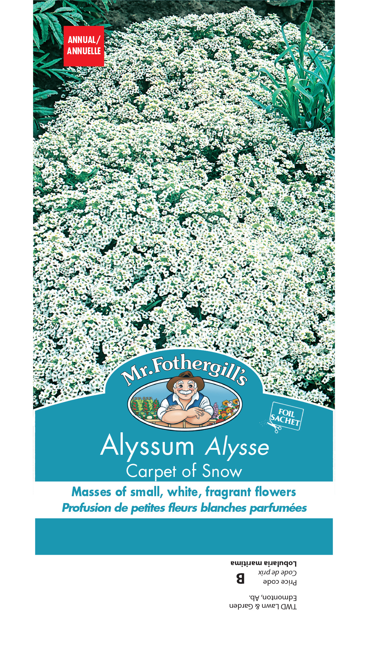 Alyssum carpet of snow